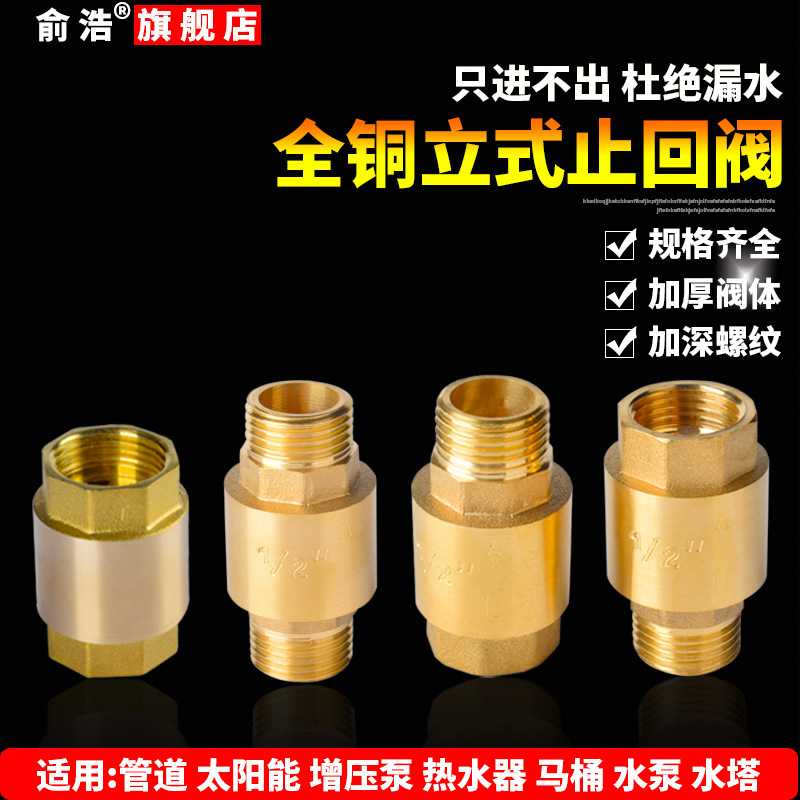 立式铜止回阀弹簧式水管单向阀自来水管道4分DN15止逆阀 6分DN20