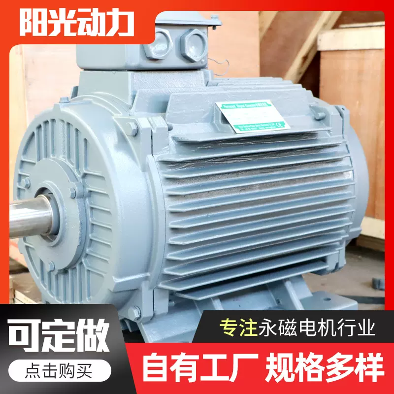 永磁发电机 大功率高电压大扭矩的无刷直流电机 永磁直线电机