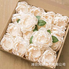 �羳ͬ��ĵ���� ����PE��ĭ��ĵ�����^���U�Y���b�ӭ��ĵ�����^