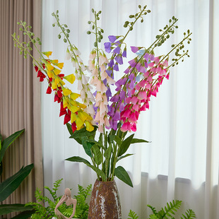 35�^���~����ͩ���滨ë���S�ٻ���c��Y·�������������Ĕz�͏d