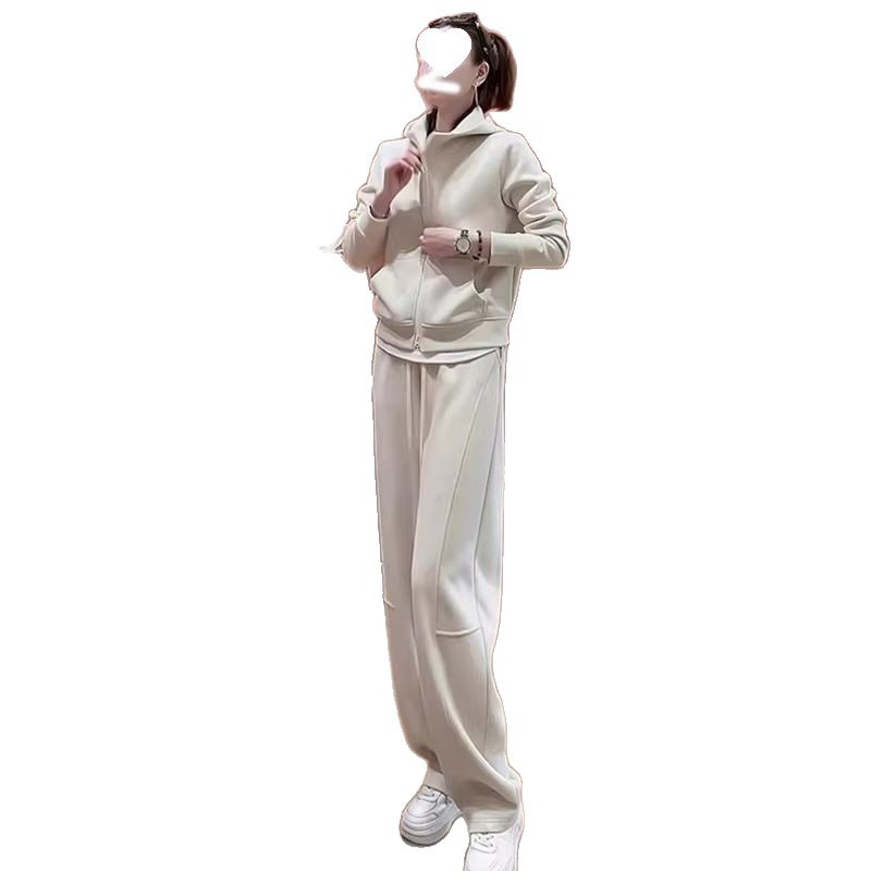 ActiveGo Europäischer Freizeit-Sportanzug für Damen Herbst/Winter 2025 – Neues, fleecegefüttertes, dickes, elegantes und jugendliches Sweatshirt_voghion.com