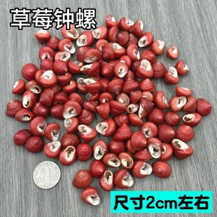 ��ݮ�R�ݬF؛���l��Ȼ����ؐ��ϡ���ղؘ˱���DIY�bľ�з