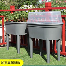 工廠直供種菜盆 長條形高腳塑料陽台戶外家庭園藝種植種菜盆 批發