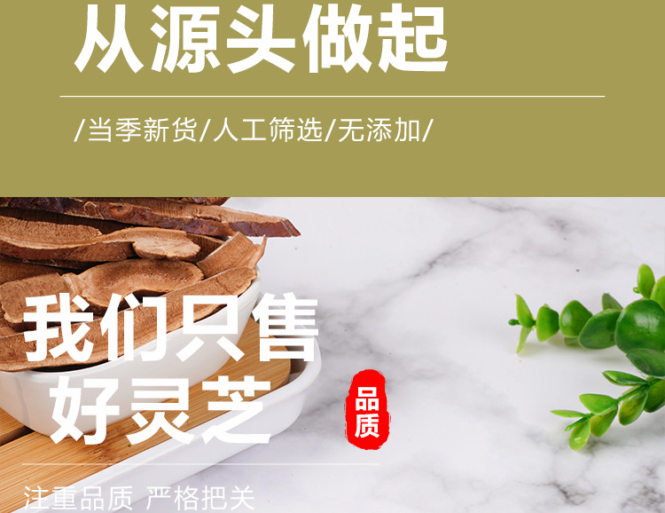 Reishi Mushroom Slices (Ganoderma lucidum) — Dried Red Reishi Ling Zhi 40g Jar specifications