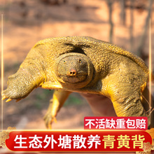 ���B��������~���r��ĸҰ����B�M���L���~����ˮ�~�F�~�������S