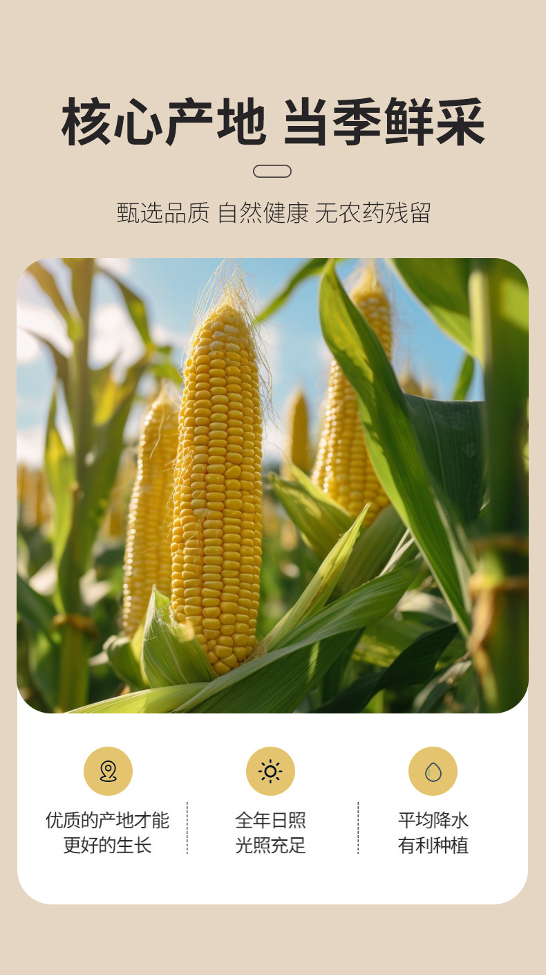 Freeze-Dried Sweet Corn Kernels 500g Yu Mi Li Whole Grain Cooking Ingredient quality and texture