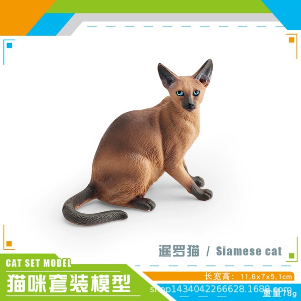 PL127-3165 Siamese cat 78g