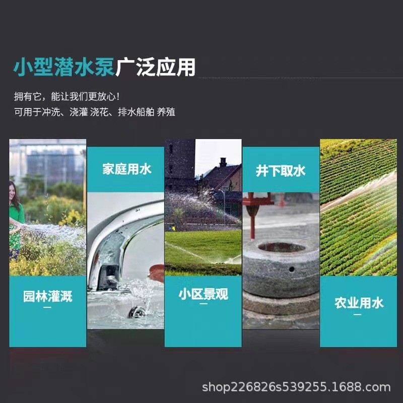 Pequeña bomba de agua agrícola bomba de corte bomba de aguas residuales bomba sumergible doméstica bomba de alta elevación 220V bomba de riego