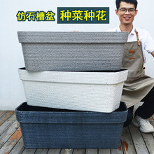 LμӺϻ̨ͥN߲ˌ÷NֲSֱN