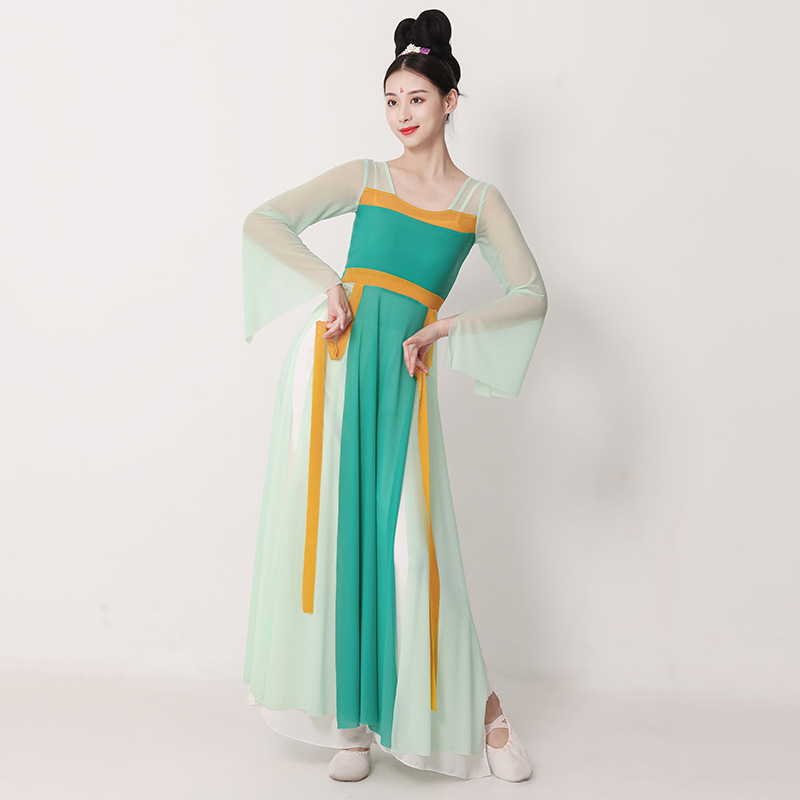 古典舞演出服女成人中国舞舞蹈服装身韵练功服古风舞蹈服纱衣飘逸