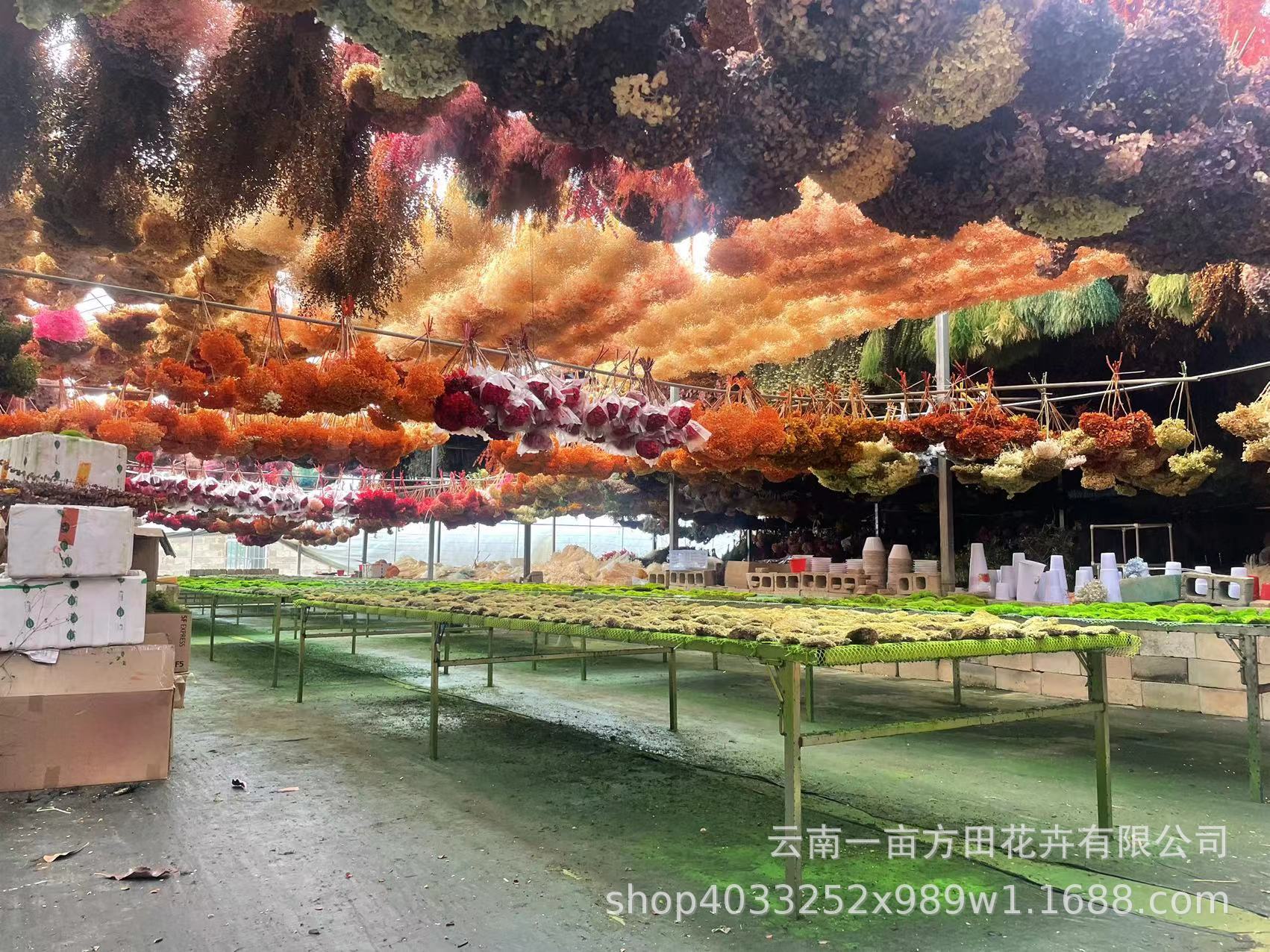 5a0d296e7ce6647042068eea11aef0