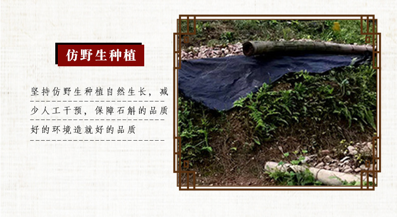 Shi Hu Feng Dou (Dendrobium officinale) — 4-Year Huoshan Tiepi Dried Stems, Food Herb key features