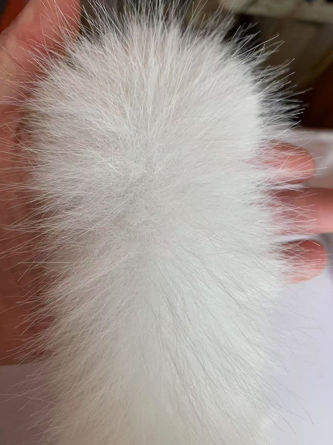 微信图片_20250329204513