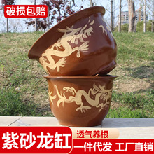 �մɼ��ô�����ɰ�����辰����lؔ���F���ش�̖�͹ňA�ڻ�����