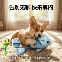 新品宠物用品狗狗啃咬玩具海洋恐龙鲨鱼小拖鞋磨牙益智可互动训练