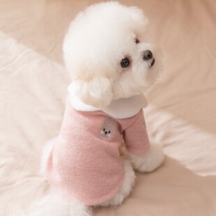 Autumn and Winter Pet Clothes Base Shirt Dog Clothes Teddy Bichon Small Dog Fleece-Lined Two-Legged Cute Bear Top