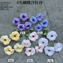 �¿���滨ëݢ�S��4�^������ĵ�� ���@�L��Y·���ҾӼٻ����l