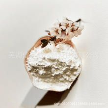 200�{���J��Ͷ������ ����������⁰׷�