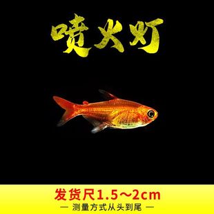 �����С���~�Ꭷ�~��ˮ���~������~�ݸ��~Ⱥ�Ό�����w���]����