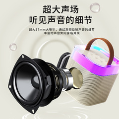 Microphone and Speaker Combo Outdoor Wireless Bluetooth Speaker Home KTV Set Singing Colorful Lights Small Speaker