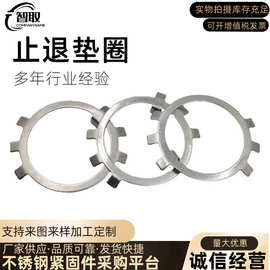 厂家直营304不锈钢圆螺母用止动垫圈垫片GB858六爪太阳锁紧螺母