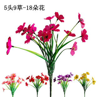 �羳���N�������_�m���滨�Ҿӑ���ͥԺ�bzӡ�����������컨