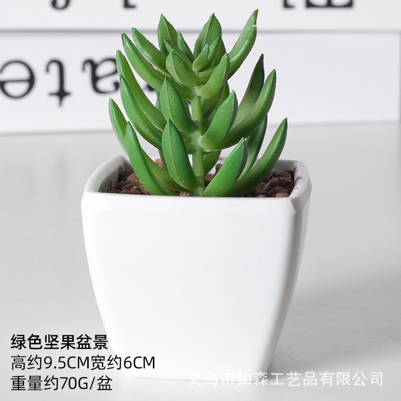 Simulación de plástico carnoso bonsai flor falsa combinación oficina interior escritorio plantas verdes pequeños adornos plantas artificiales al por mayor image 32