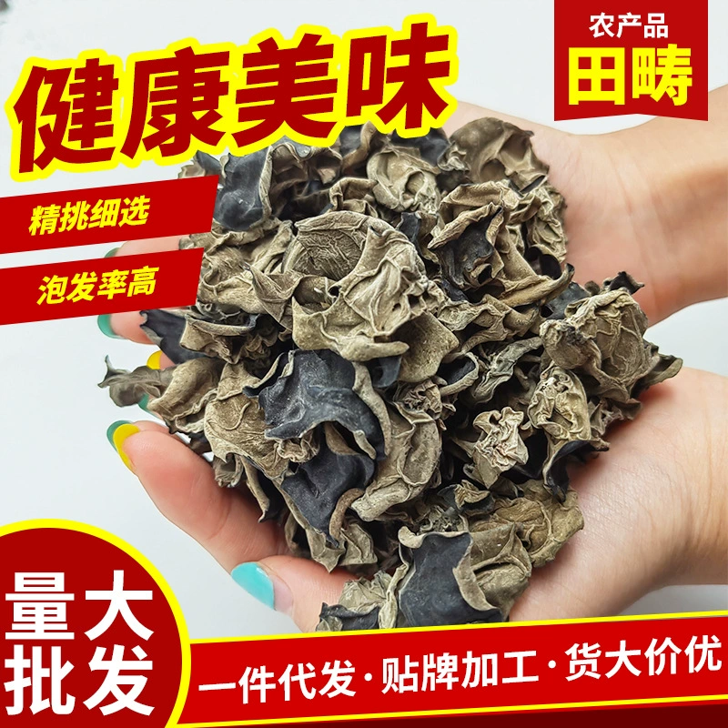 Оптовые грибные галантереи Северо-Восточный Специальность черный гриб осенний гриб толстое мясо без корней оптом осенний гриб черный гриб