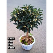 ����̨�w�����Ԙ������K�޽���������갫����������ļ��_��