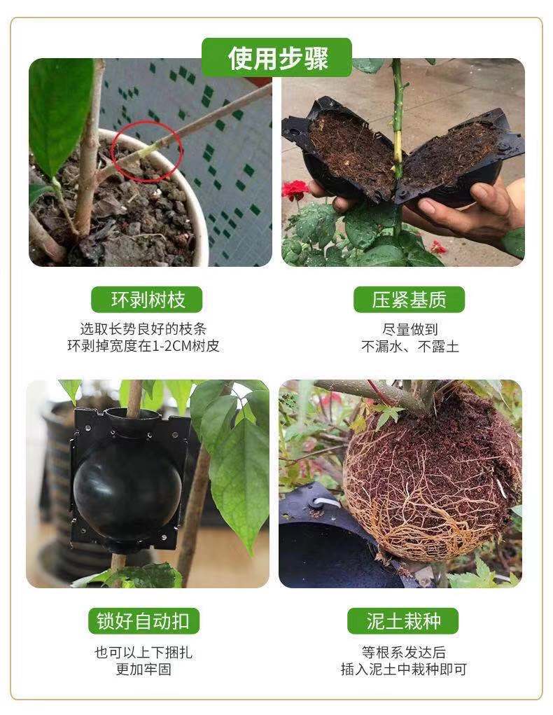 高空压枝盒繁殖植物高压球嫁接高位压条生根盒控根器盆高枝压条盒-阿里巴巴