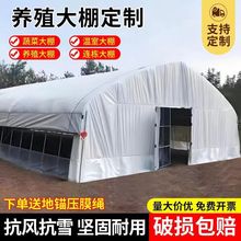 EAܰůNֲ߲˴ǼBuZiţBֳȫl