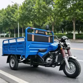 正三轮摩托车;两轮摩托车;沙滩车