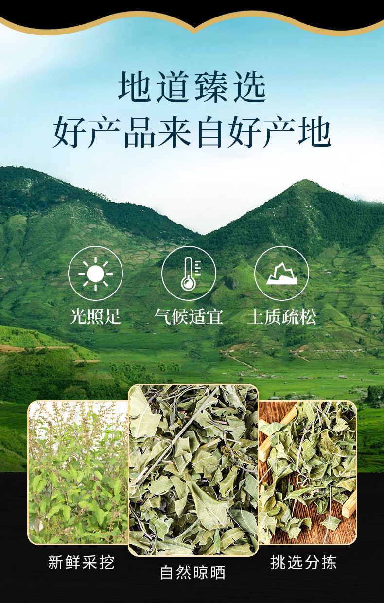 Luobuma Powder (Apocynum venetum) — Xinjiang Wild-Harvested Herbal Powder for Tea, Congee & Soup overview