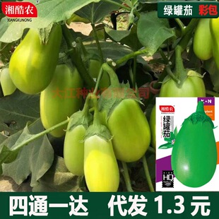 �G�����ӷN��ţ���ѾG�ѾGɫ�����ѾGţ�����Ӽ޽�������G��һ̖