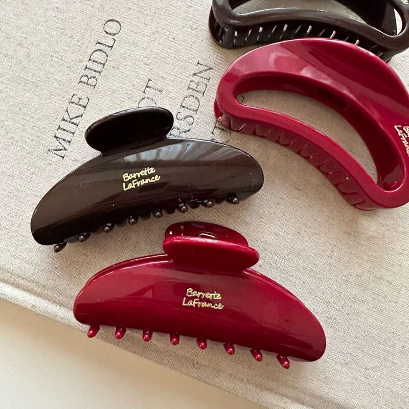 Korean Ins Gold Label Oval 2026 Simple French High-End Hairpin with a Shark-Like Elegant Design, Niche and Stylish Hair Clip