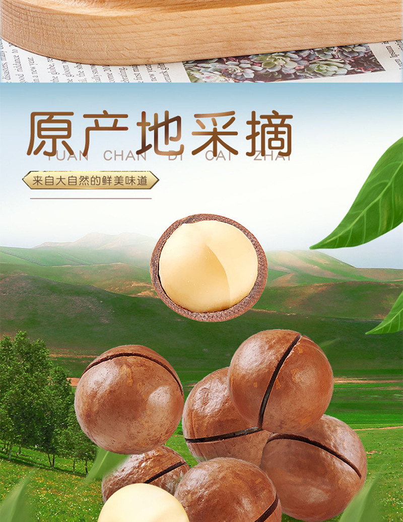 Macadamia Nuts In Shell Snack Easy Crack Roasted Nut Treat 50g Pack overview