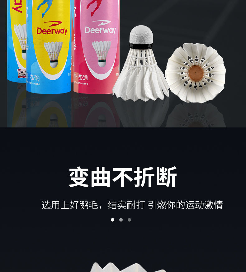 2c50adb5-79bf-42db-b286-ded49736dbb8.jpe