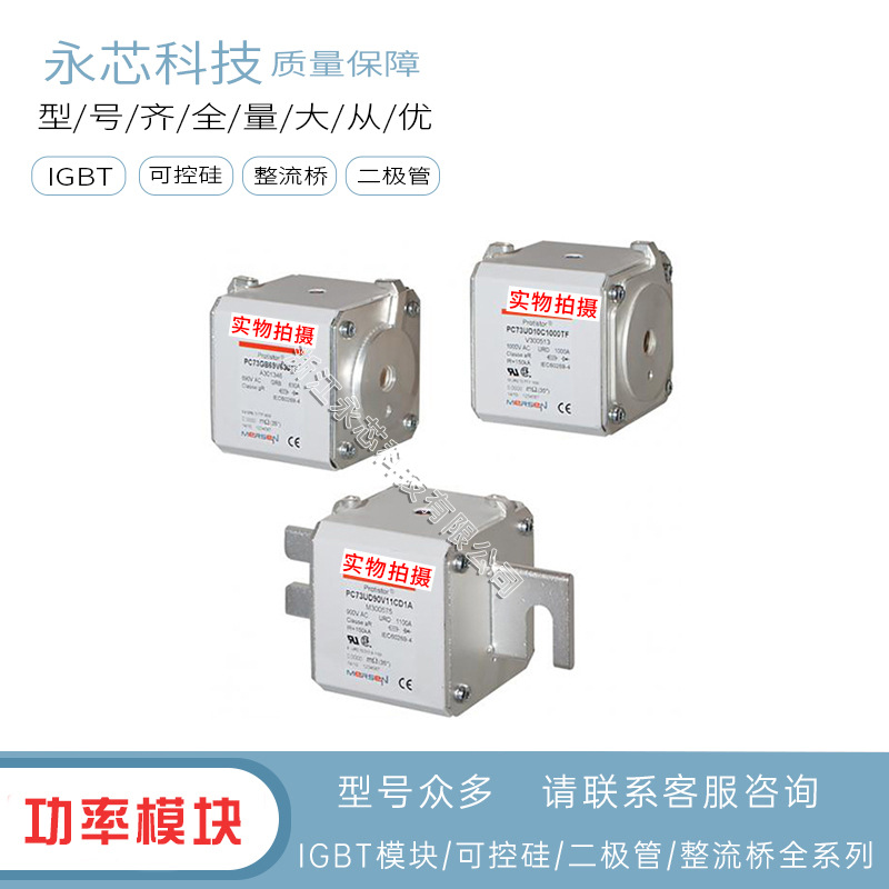 A130UD70TTI250  X301021全新高压双连体熔断器保险丝型号齐全