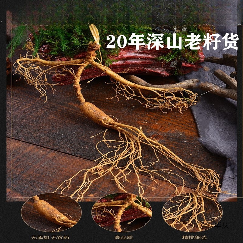 一等参2支新鲜东北长白山野山参林下参20年吉林新鲜野生人参