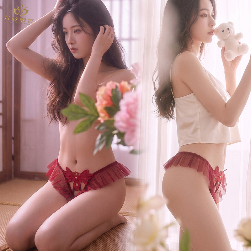 Sensual Mesh Skirt-Style Lingerie, Sweet and Pure Lace Panties, See-Through Hollow-Out Thong for Women