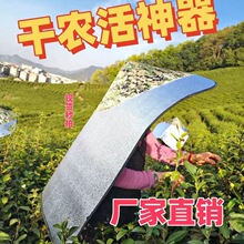 �Բʲɲ趷��ñ�������������Lһ�w������ñ�׸����r����r��