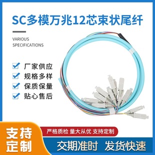 Manufacturers supply high-color optical fiber multi-mode 10 gigabit 12-core bundle pigtail durable quality guaranteed fast delivery