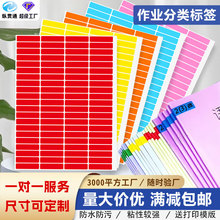 学生手写作业分类标签A4不干胶彩色姓名贴文件分组颜色标记号贴纸