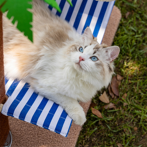 Coconut Tree Small Island Cat Climbing Shelf Cat Nest Claw Column Cat Tree Integrated No Land Occupying Sisal Claw Grinding Cat Supplies Cat Climbing Shelf 