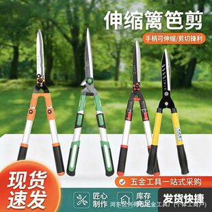�h�ʼ�����s��ƺ����֦�����݌��ü�@�քe���G������