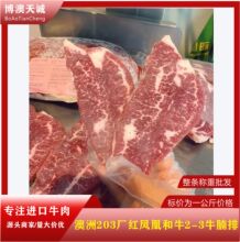 澳洲203厂红凤凰和牛M2-3牛腩排雪花牛肉西餐烤肉食材冷冻牛肉