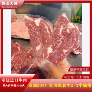 ����203�S�t�P�˺�ţM2-3ţ����ѩ��ţ�����Ϳ���ʳ�����ţ��