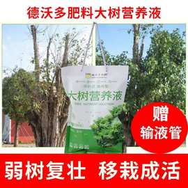 大树营养液树木吊针激活液移栽种植吊袋液复壮催芽生根促成活桂花