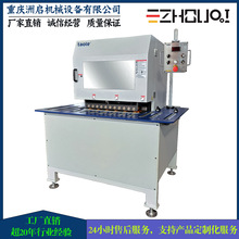 TCM-SR3-D ��ҵ˫ͷ�����豸 �Զ�����ƽ�嵹�߻� ���������ӹ�