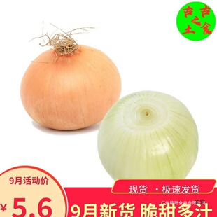 ɽ�|�����[�S���[ˮ�����[�����r���]��10���W�t���[���ԈA�[�l